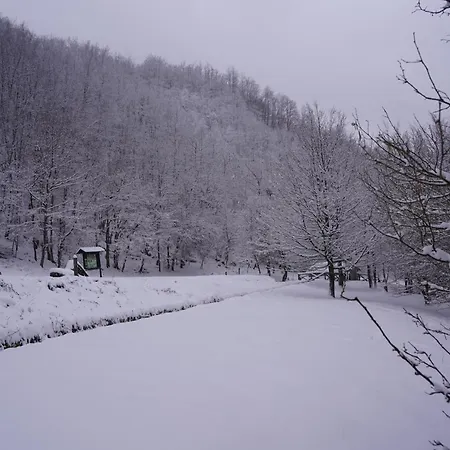 Mulino Delle Cortine Hotel