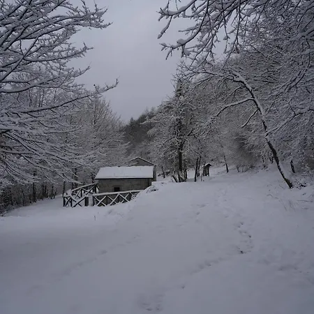 Hotel Mulino Delle Cortine *