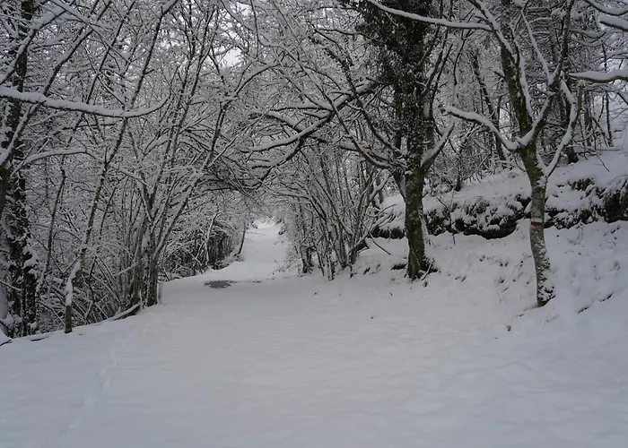 Mulino Delle Cortine * Баньо-ди-Романья